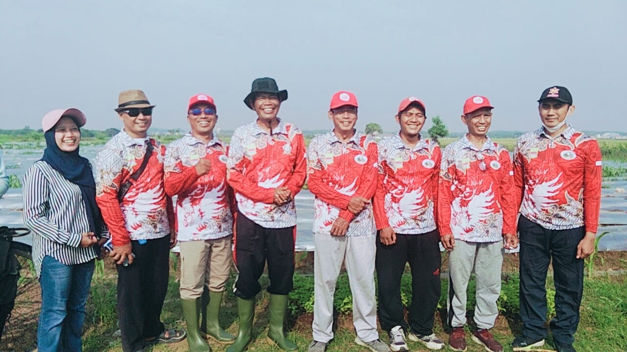 Dukung Program Ketahanan Pangan, BUMDes Babelan Kota Tanam 18.000 Bibit Cabai, Mahfud Subhan: ‘Budidaya Cabai Ini Bentuk Nyata Ketahanan Pangan Desa’