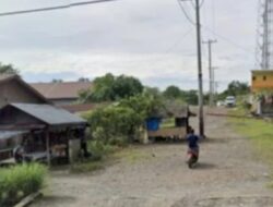 Kapolsek Pancur Batu Diduga Backup Judi Tembak Ikan – Ikan Divila Lotus, Kapolres Dan Kapolda Diminta Tangkap Pemilik Mesin Judi Tembak Ikan – Ikan Divila Lotus