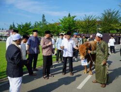 Salurkan 135 Ekor Sapi dan 134 Ekor Kambing pada Idul Adha 1445 H, Kapolda Harap Pembagian Daging Qurban Merata Kepada yang Membutuhkan