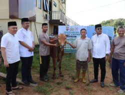 Idul Adha 2024, Polres Kubu Raya Serahkan 16 Hewan Kurban Kepada Masyarakat