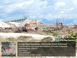 Luar Biasa Bos PETI ALY Mampu Bungkam APH Hingga Bebeas  Merusak Alam