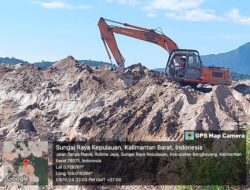 Cukong PETI Sanggup Berlindung Ke PT Punya HGU dan APH di Bengkayang dan Singkawng
