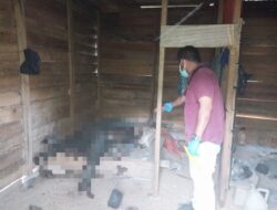 Kejadian Tragis, Mayat Seorang Pria di Temukan di Kebun Terpencil Bener Meriah