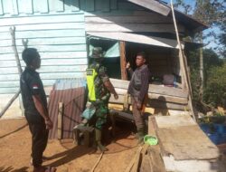 Kawanan Gajah Liar Mengamuk, Satu Unit Rumah Warga Hancur