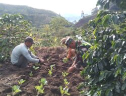 Wujud Kepedulian: Babinsa Dampingi Kelompok Tani dalam Mewujudkan Ketahanan Pangan