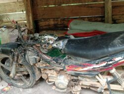 Gajah Serang Warga di Kampung Negeri Antara Bener Meriah.