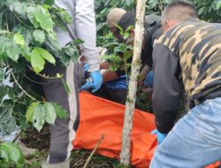 Penemuan Mayat Seorang Pria di Temukan Diarea Perkebunan Kopi Bener Meriah