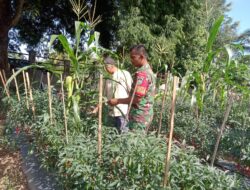 Babinsa Tanah Pasir Berikan Pendampingan Kepada Petani Binaan.