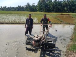 TNI Di Aceh Utara Bantu Petani Bajak Sawah