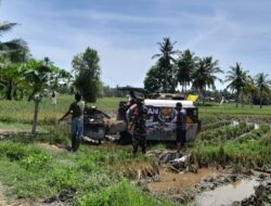 Penuh Semangat, Babinsa Serda Bahtiar Bantu Petani Panen Padi