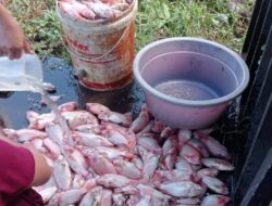 Akibat Pemadaman Listrik Oleh PLN Menyeluruh, Banyak Warga Dirugikan Hingga Puluhan Juta Rupiah