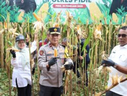 Wakapolda Aceh Panen Raya Jagung Tahap I secara Serentak di Kabupaten Pidie