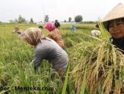 Tanggapi Dugaan Kasus Penyalahgunaan Dana Alokasi Khusus Oknum Anggota DPRD Kabupaten Bekasi, Hj. Siti Qomariyah Sebut Itu Dzolim