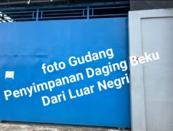 Maraknya Daging Beku Ilegal di Pontianak: Ancaman Kesehatan dan Ekonomi yang Kian Mengkhawatirkan