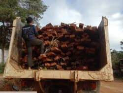 Keberhasilan Tim Dirkrimsus Polda Kalbar Amankan Ribuan Batang Kayu Illegal di Pertanyakan Publik