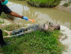 Mayat Laki-laki ditemukan Mengambang di Pintu Air Glumpang Tiga Pidie