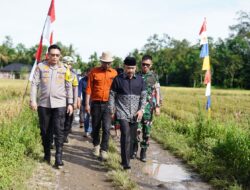 Kapolres Pidie Hadiri Panen Raya Padi Serentak di Tiro