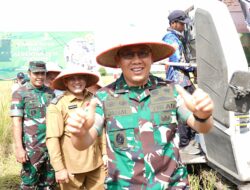 Pangdam Bersama Forkopimda Kalbar Ikuti Panen Raya Padi Bersama Presiden RI