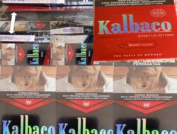 Skandal Cukai Rokok Kalbaco: PT. BTG Diduga Rugikan Negara Lewat Isi Batangan Ilegal