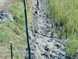 Parah Pembangunan TPT  di Desa Sukamanah Tidak Digali dan Tidak Sesuai RAB