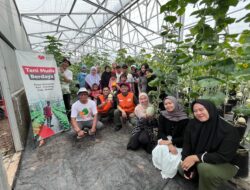 Panen Raya Melon Di Bekasi, Rumah Zakat Sukses Kembangkan Pertanian Lokal