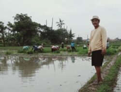 Upayakan Rutin Komunikasi Dan Interaksi Dengan Masyarakat Tani, Kades Srimahi Sudarto Gelar Ruang “Kepala Desa Sahabat Tani”
