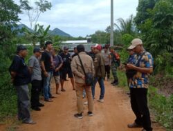 Sidak Peternakan Babi Terkait Dugaan Pencemaran Limbah di Kelurahan Pangmilang DPRD Kota Singkawng Turun Tangan