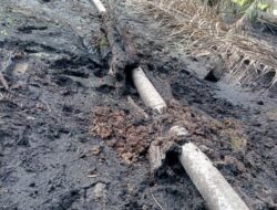 Diduga Cemari Sungai Jentu, PT SMS Didesak Bertanggung Jawab: Aktivis Minta Penegakan Hukum Lingkungan di Kapuas Hulu