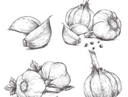 Efektivitas Bawang Putih (Allium Sativum) dalam Menurunkan Tekanan Darah pada Penderita Hipertensi