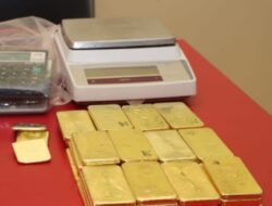 Emas Ilegal Hanya 32 Kg, Bukan 47 Kg: GNPK Minta Penyelidikan Terbuka