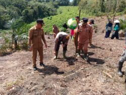 Kelompok Tani Tinggang Jaya dan Muspika Kecamatan Tanah Pinoh Melaksanakan Penanaman Jagung, Dukung Ketahanan Pangan Nasional