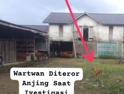Tiga Wartawan Diteror Anjing oleh Pemilik Gudang Kayu di Pontianak Timur