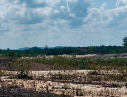 Tambang Emas Ilegal di Desa Peniti Diduga Kebal Hukum, Ada Setoran Rutin ke Oknum APH?