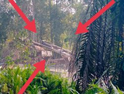 Tambang Emas Ilegal di Sekadau Diduga Disokong Oknum APH, Negara dan Lingkungan Dirugikan