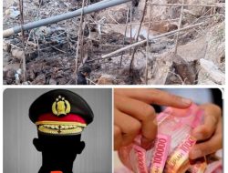 Praktik Pungli PETI Sintang Terungkap, Oknum Polisi Z Diduga Bermain di Balik Penambangan Ilegal