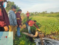 Dugaan Pencemaran Sungai Kapuas oleh PT BPG: Polisi dan DLH Sudah Bertindak Sesuai SOP 