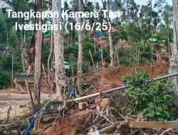 Hutan Dihancurkan Tambang Ilegal, Solar Subsidi Disalahgunakan: Siapa Lindungi PETI di Sandai, Ketapang?