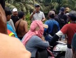 Sengketa Sawit Memanas di Kubu Raya: Warga Tanjung Manggis Tuding PT RJP Seperti Penjajah