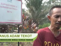 Hutan Adat Habis, Masyarakat Adat Terdesak: “Kami Tak Punya Ruang Hidup Lagi”