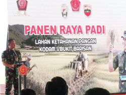 Dukung Program Ketahanan Pangan, Danlantamal I Hadiri Panen Raya Padi Bersama Panglima TNI
