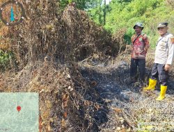 Pantau Titik Hotspot, Personel Polsek Keumala Cek Lokasi Karhutla