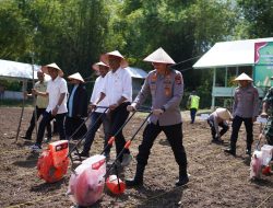 Dorong Ketahanan Pangan, Kapolres Pidie Tanam Jagung Serentak di Lahan Pesantren