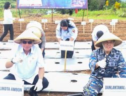 Sinergi Kodaeral IX Ambon, Pemerintah Daerah, dan Lintas Iinstansi Dorong Ketahanan Pangan Melalui Gerakan Tanam Serentak Cabai dan Kedelai