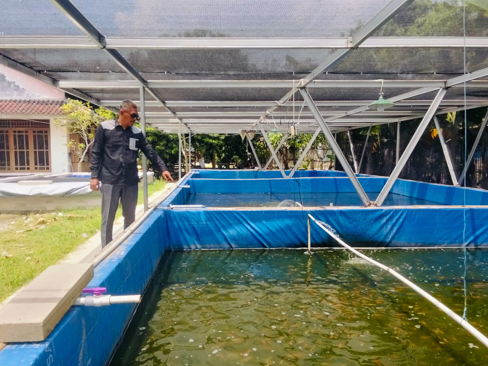 Ketahanan Pangan Berbasis Potensi Lokal, Sukadaya Kembangkan Perikanan dan Peternakan