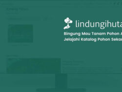 LindungiHutan Hadirkan Fitur Katalog Pohon untuk Permudah Publik dan Perusahaan Dukung Kampanye Lingkungan