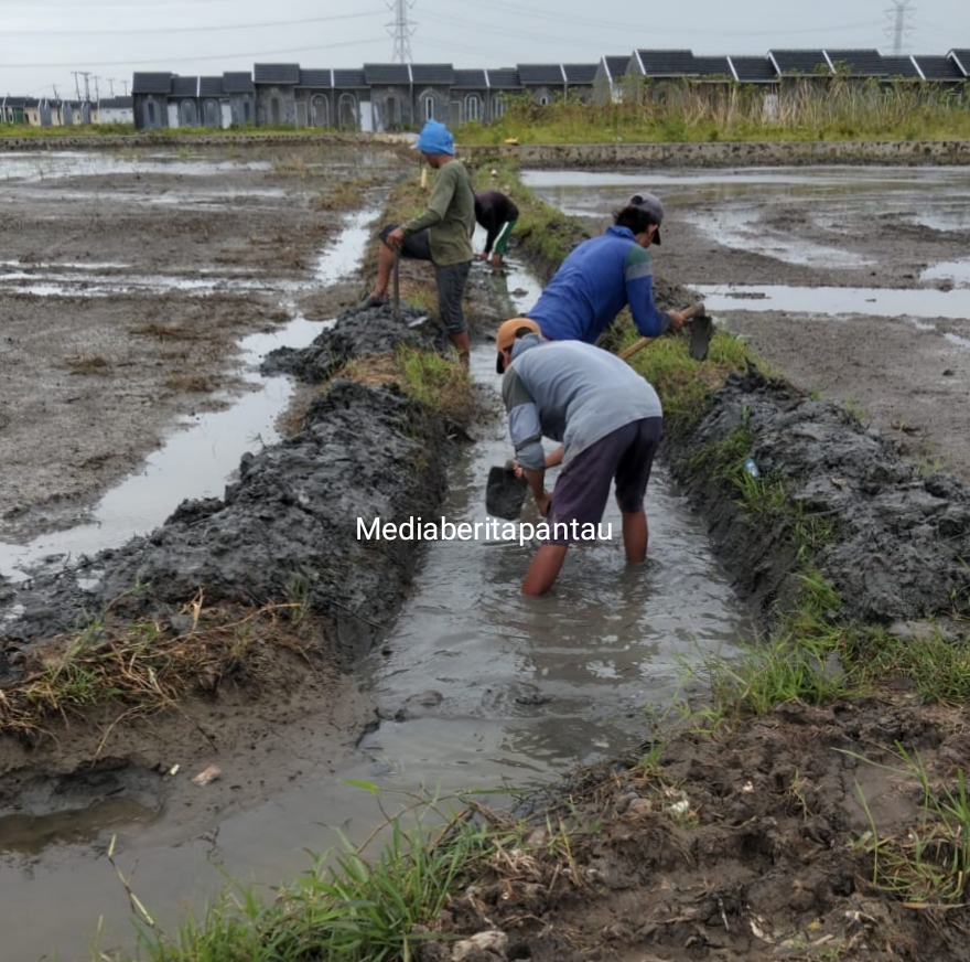 Diinisiasi Kades Sudarto, Kolaborasi Tiga Pihak Benahi Saluran Pengairan Alas Malang–Kalen Kendal
