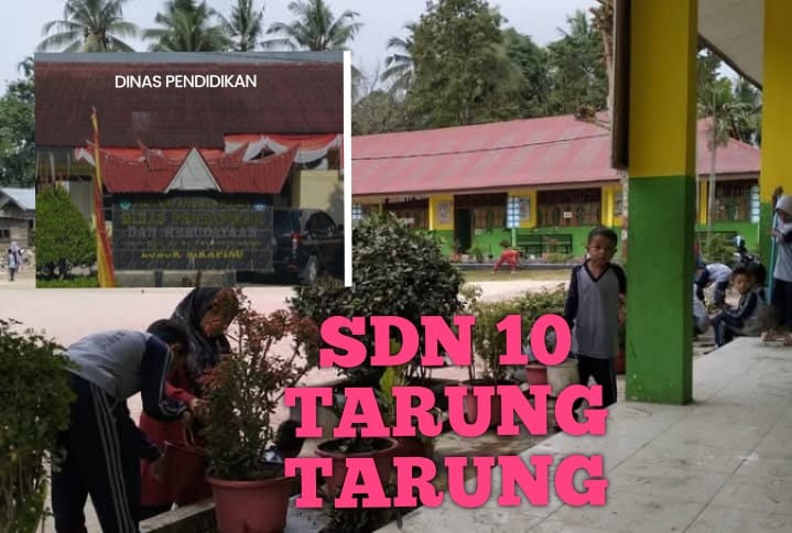 Kadis Pendidikan Pasaman, Revitalisasi SDN 10 Tarung Tarung Segera Diusulkan Setelah Dapodik Mencapai Target